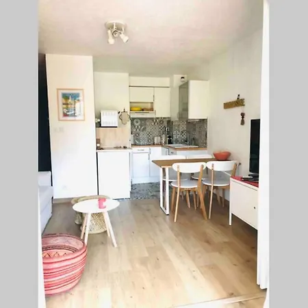 Apartment La Petite Pinede Climatise 400m De La