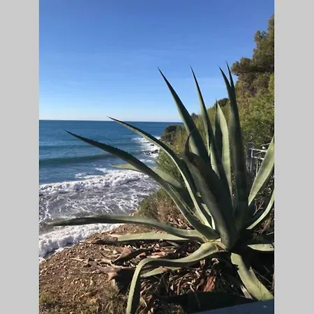 La Petite Pinede Climatise 400m De La Appartement *